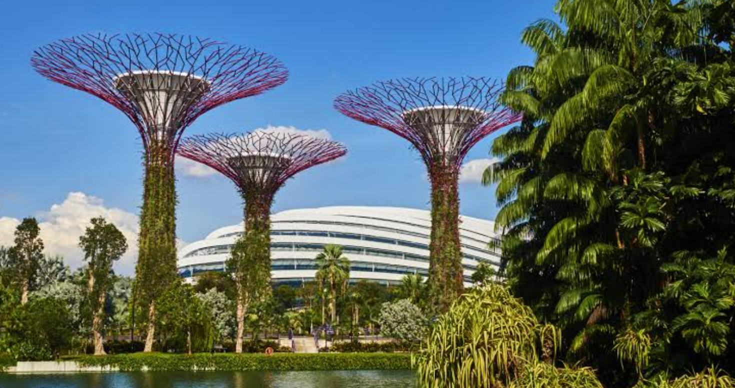 Supertree Grove